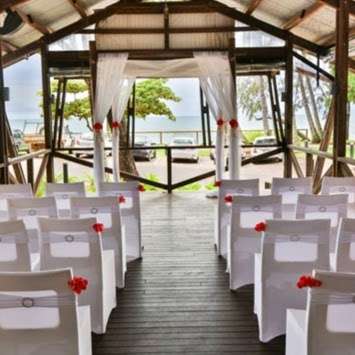 Photo: Weddings Palm Cove